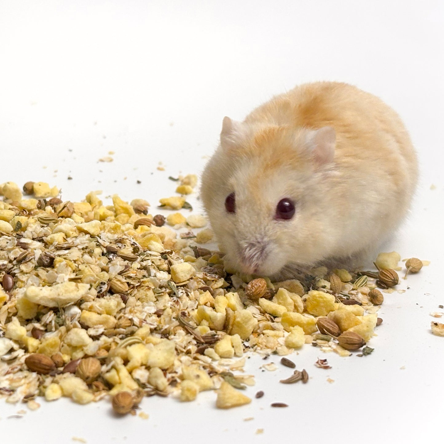 ハムスターの補助食 こだわりのふりかけ