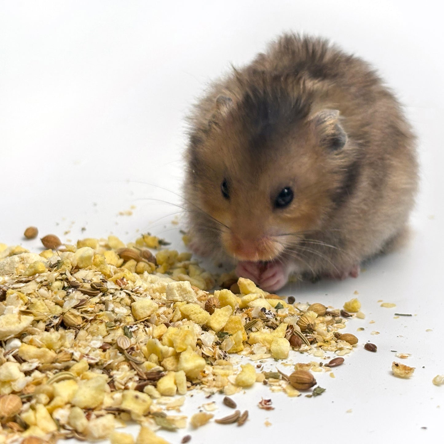 ハムスターの補助食 こだわりのふりかけ