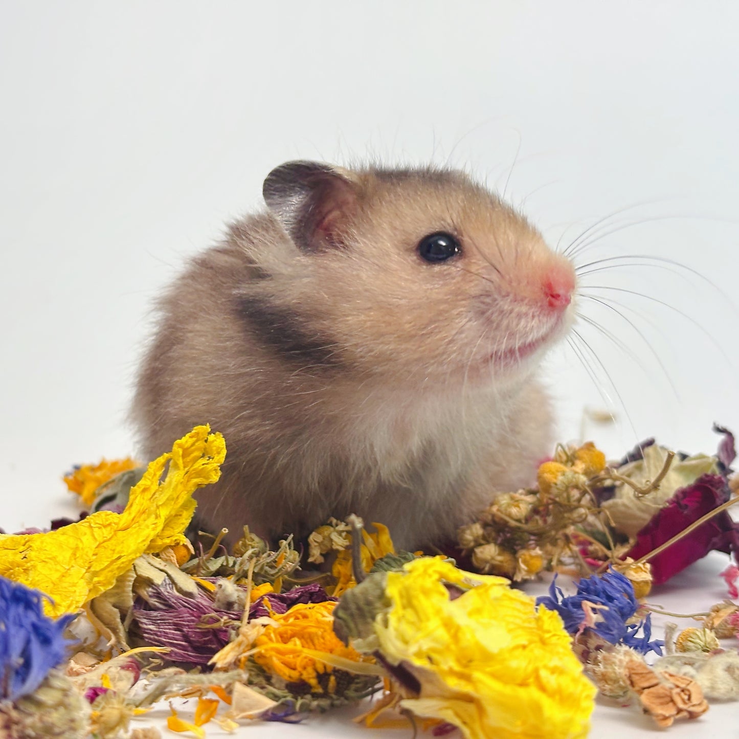 小動物の天然副菜 床材 ミックスフラワーパック
