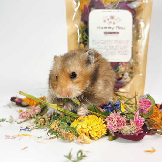 小動物の天然副菜 床材 ミックスフラワーパック